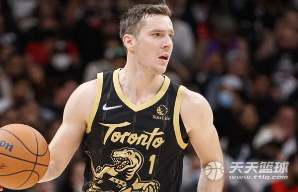 森林狼之所 森林狼之所