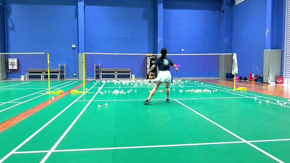 在篮球迷的 在篮球迷的